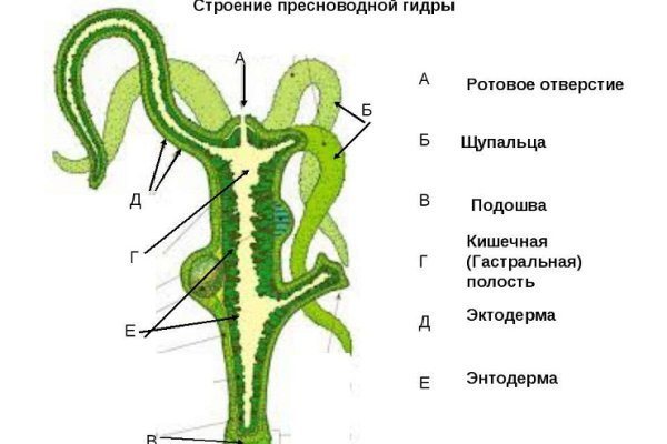 Сайт мега на торе